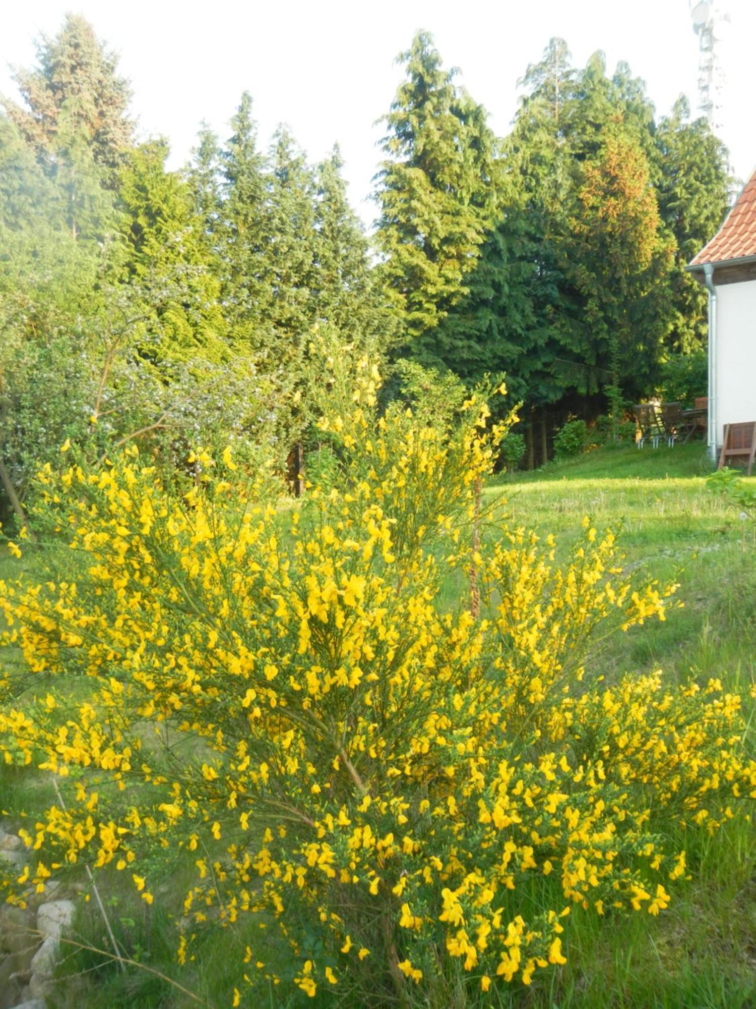 Ferienlandhaus Zempow Exterior photo