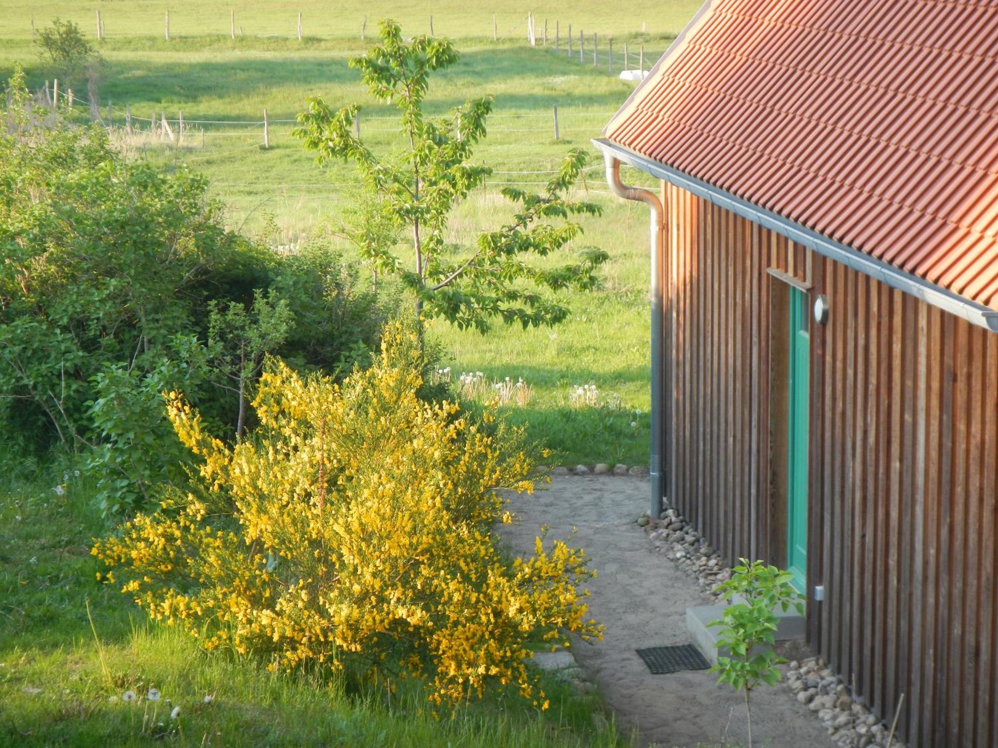 Ferienlandhaus Zempow Exterior photo
